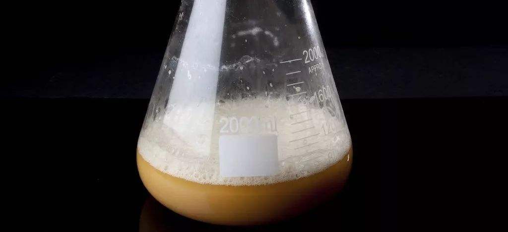 酵母發酵起泡是怎么回事，怎么處理這些泡沫？